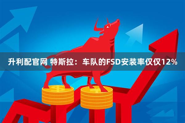 升利配官网 特斯拉：车队的FSD安装率仅仅12%