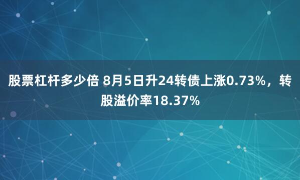 股票杠杆多少倍 8月5日升24转债上涨0.73%,转股溢价率18.37%